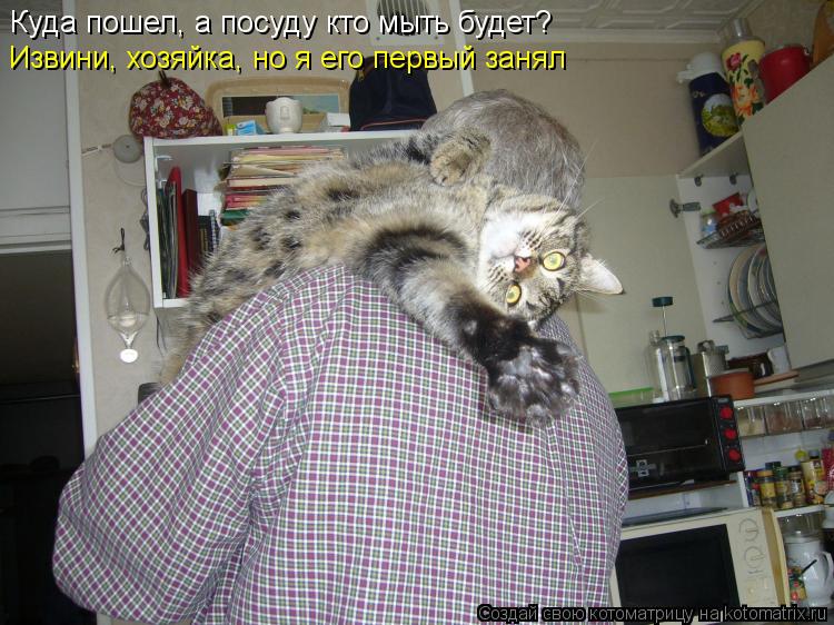 Куда пошел, а посуду кто мыть будет? Извини, хозяйка, но я его первый занял... Котоматрица: Куда пошел, а посуду кто мыть будет? Извини, хозяйка, но я его первый занял