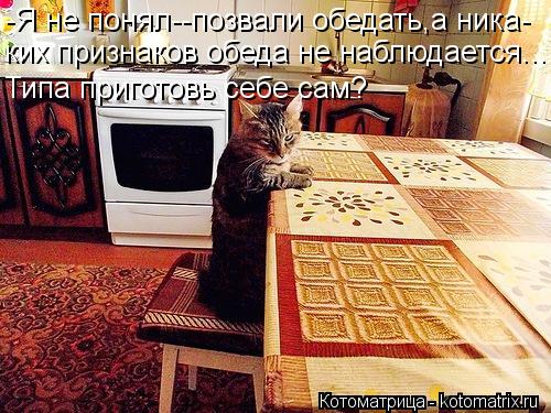 Котоматрица: -Я не понял--позвали обедать,а ника- ких признаков обеда не наблюдается... Типа приготовь себе сам?