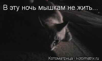 В эту ночь мышкам не жить...... Котоматрица: В эту ночь мышкам не жить...