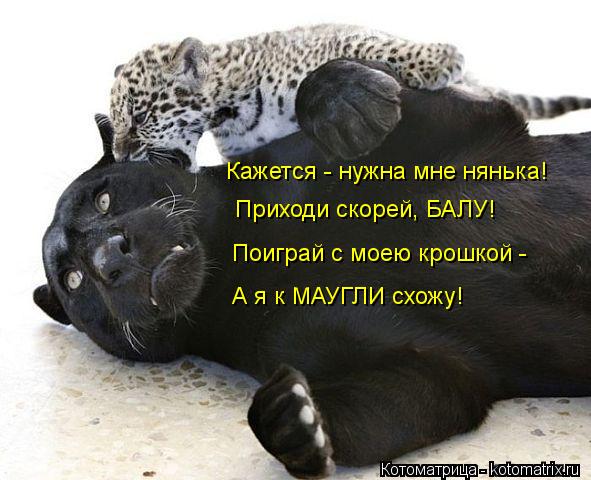 Котоматрица: Кажется - нужна мне нянька! Приходи скорей, БАЛУ! Поиграй с моею крошкой - А я к МАУГЛИ схожу!