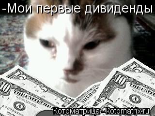 Котоматрица: -Мои первые дивиденды