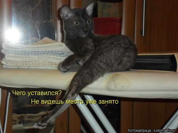 Котоматрица: Чего уставился?  Не видешь место уже занято