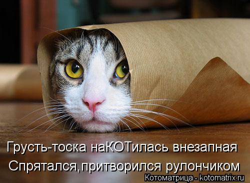 Котоматрица: Грусть-тоска наКОТилась внезапная Спрятался,притворился рулончиком