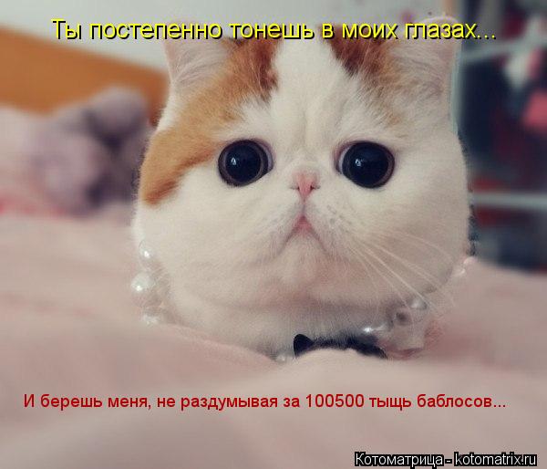 Ты постепенно тонешь в моих глазах... И берешь меня, не раздумывая за 100500 тыщь баблосов...... Котоматрица: Ты постепенно тонешь в моих глазах... И берешь меня, не раздумывая за 100500 тыщь баблосов...