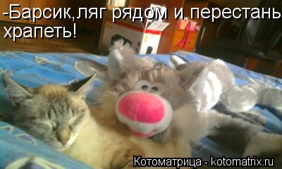 Котоматрица: -Барсик,ляг рядом и перестань храпеть!