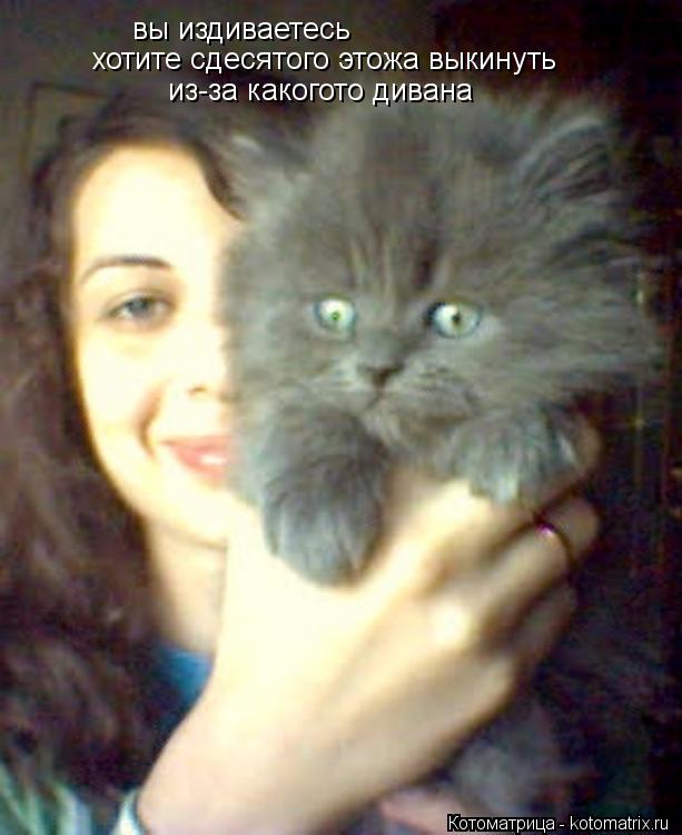 Котоматрица: вы издиваетесь   хотите сдесятого этожа выкинуть из-за какогото дивана