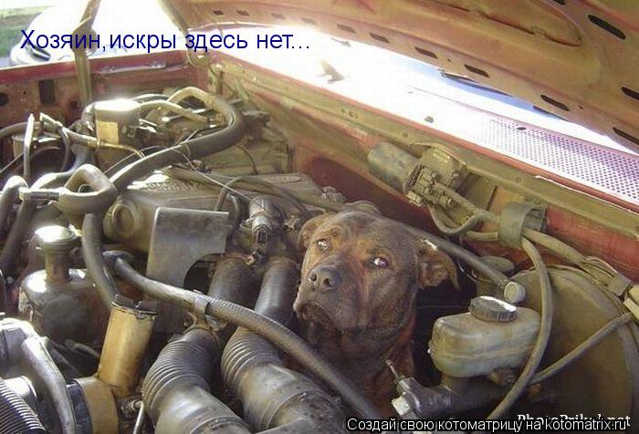 Хозяин,искры здесь нет...... Котоматрица: Хозяин,искры здесь нет...