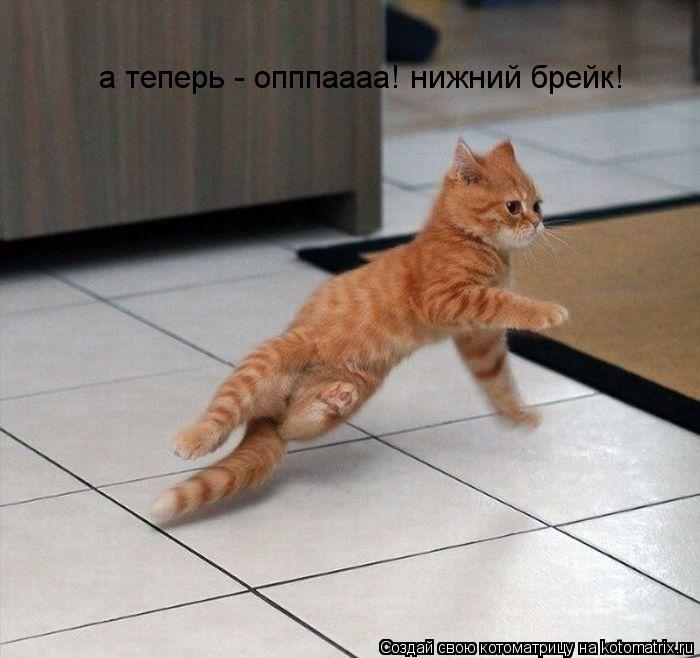 Котоматрица: а теперь - опппаааа! нижний брейк!