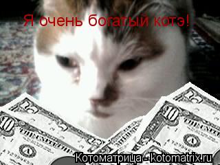 Я очень богатый котэ!... Котоматрица: Я очень богатый котэ!