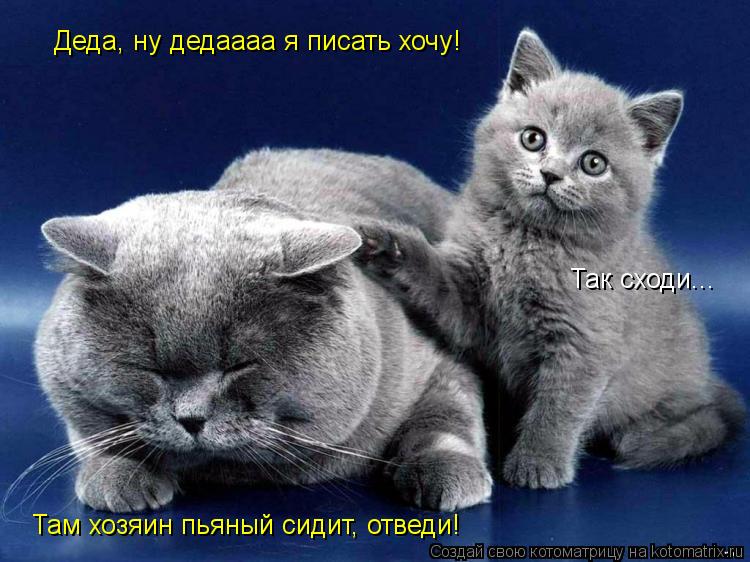Деда, ну дедаааа я писать хочу! Так сходи... Там хозяин пьяный сидит, отведи!... Котоматрица: Деда, ну дедаааа я писать хочу! Так сходи... Там хозяин пьяный сидит, отведи!