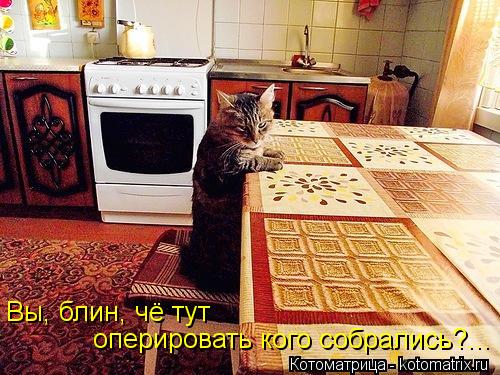 Котоматрица: Вы, блин, чё тут оперировать кого собрались?...
