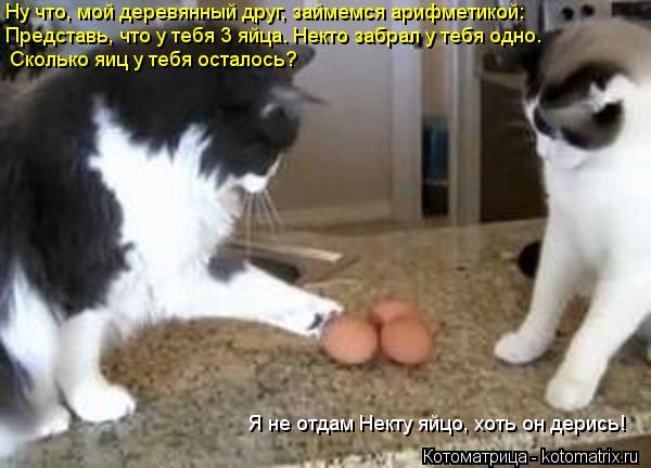 Котоматрица: Ну что, мой деревянный друг, займемся арифметикой: Представь, что у тебя 3 яйца. Некто забрал у тебя одно. Сколько яиц у тебя осталось? Я не отд