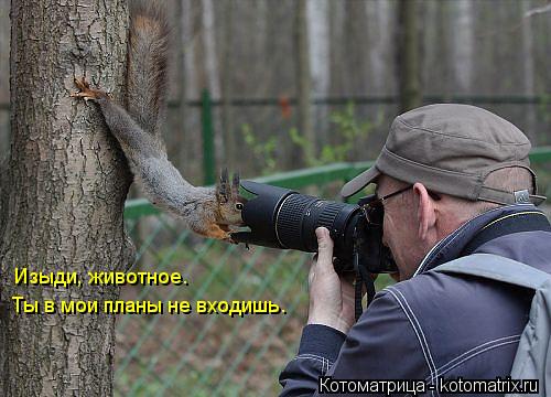 Котоматрица: Изыди, животное. Изыди, животное. Ты в мои планы не входишь.