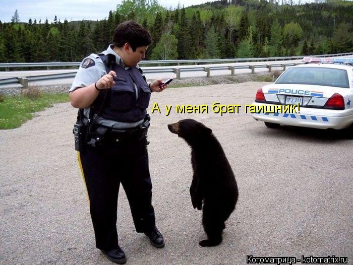 Котоматрица: А у меня брат гаишник!
