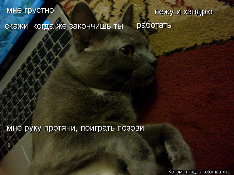 Котоматрица: мне грустно лежу и хандрю скажи, когда же закончишь ты работать мне руку протяни, поиграть позови