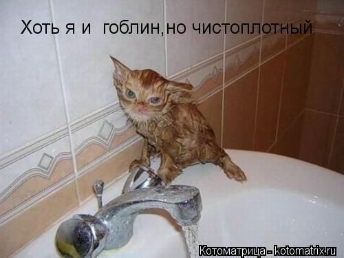 Котоматрица: Хоть я и  гоблин,но чистоплотный