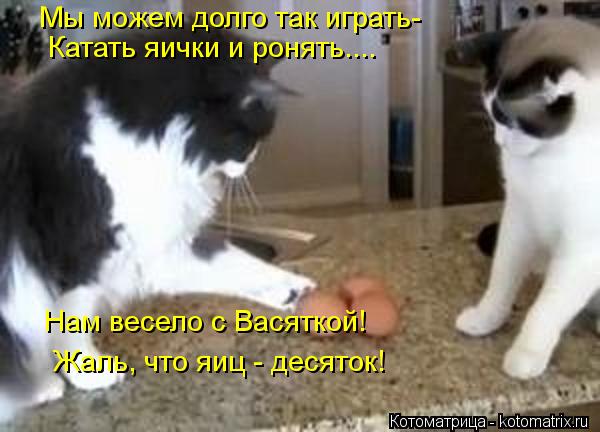 Котоматрица: Нам весело с Васяткой! Жаль, что яиц - десяток! Мы можем долго так играть- Катать яички и ронять....