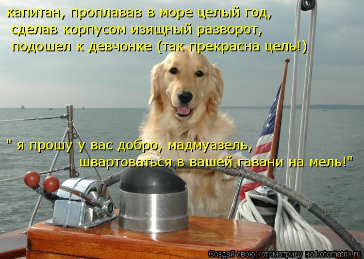 Котоматрица: капитан, проплавав в море целый год, сделав корпусом изящный разворот, подошел к девчонке (так прекрасна цель!) " я прошу у вас добро, мадмуаз