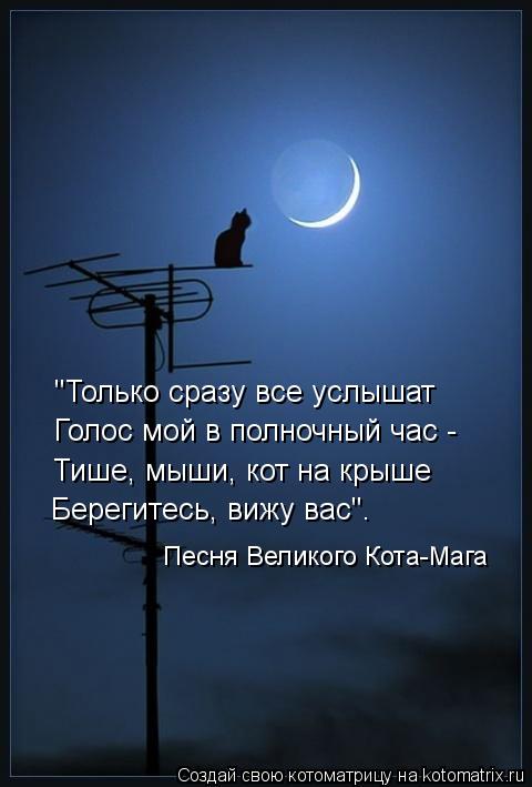 Стих кошки на крыше Стих кошки на крыше