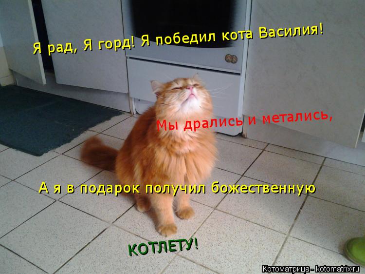 Я рад, Я горд! Я победил кота Василия! Мы дрались и метались, А я в подарок получил божественную КОТ... Котоматрица: Я рад, Я горд! Я победил кота Василия! Мы дрались и метались, А я в подарок получил божественную КОТЛЕТУ!
