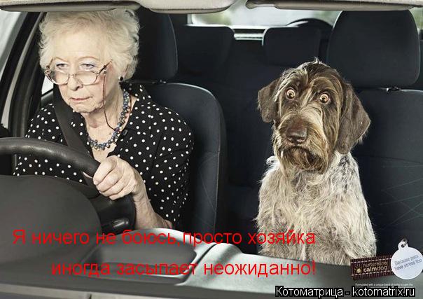 Котоматрица: Я ничего не боюсь,просто хозяйка  иногда засыпает неожиданно!
