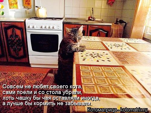 Котоматрица: Совсем не любят своего кота, сами поели и со стола убрали, хоть чашку бы чая оставляли иногда, а лучше бы кормить не забывали.
