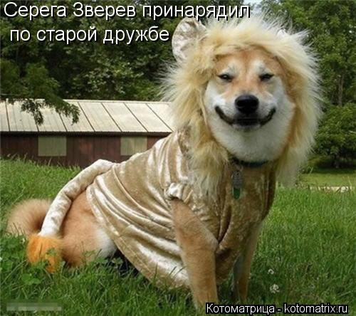 Котоматрица: Серега Зверев принарядил по старой дружбе