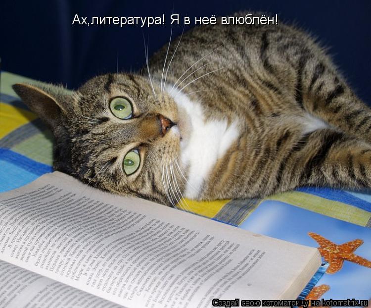 Котоматрица: Ах,литература! Я в неё влюблён!