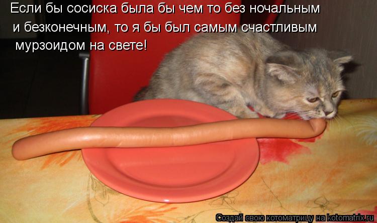Если бы сосиска была бы чем то без ночальным и безконечным, то я бы был самым счастливым мурзоидом н... Котоматрица: Если бы сосиска была бы чем то без ночальным и безконечным, то я бы был самым счастливым мурзоидом на свете!