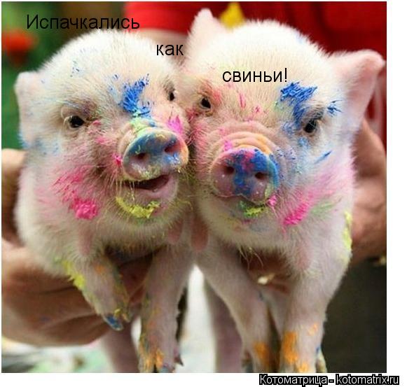 Котоматрица: Испачкались как свиньи!