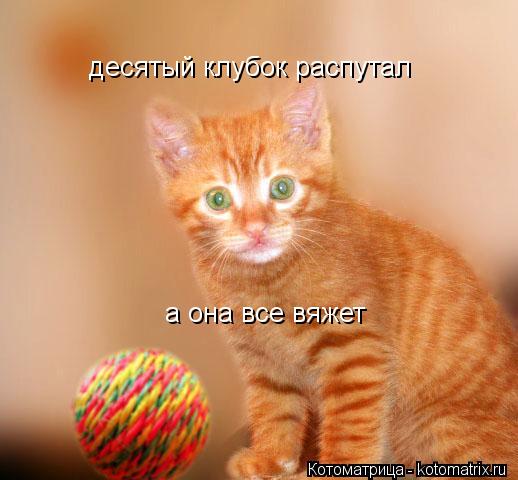 Котоматрица: десятый клубок распутал  а она все вяжет