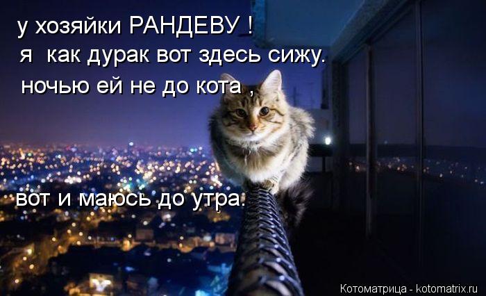 Котоматрица: у хозяйки РАНДЕВУ ! я  как дурак вот здесь сижу. ночью ей не до кота , вот и маюсь до утра.