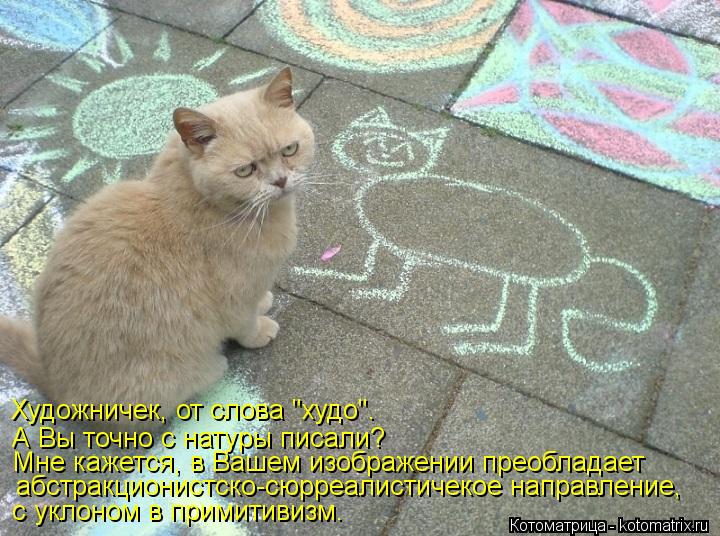 Котоматрица: А Вы точно с натуры писали?  Мне кажется, в Вашем изображении преобладает  абстракционистско-сюрреалистичекое направление,  с уклоном в при