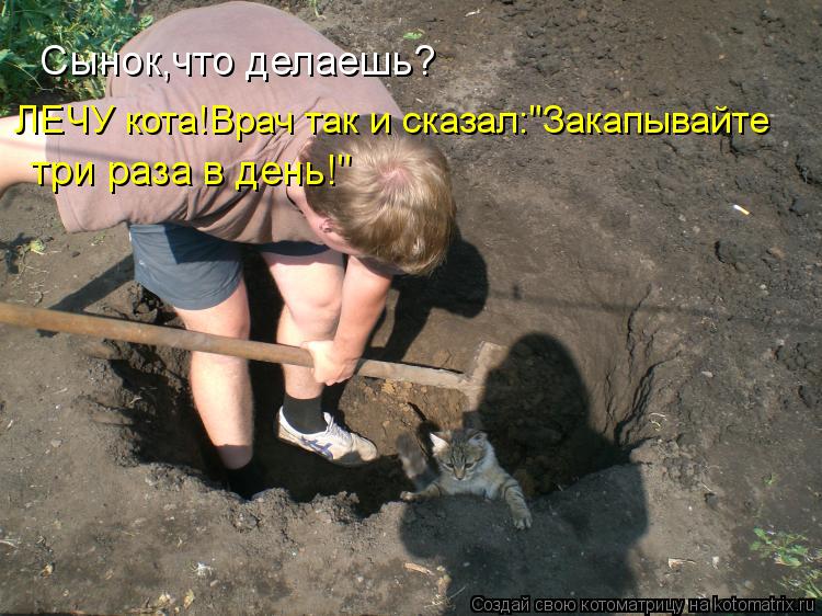 Сынок,что делаешь? ЛЕЧУ кота!Врач так и сказал:"Закапывайте три раза в день!"... Котоматрица: Сынок,что делаешь? ЛЕЧУ кота!Врач так и сказал:"Закапывайте три раза в день!"