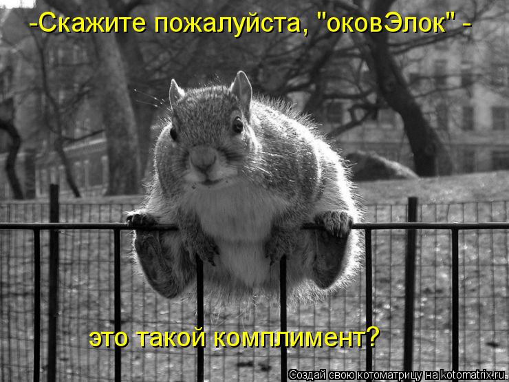 Котоматрица: -Скажите пожалуйста, "оковЭлок" -  это такой комплимент?