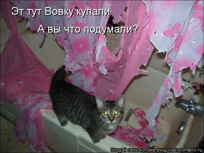 Эт тут Вовку купали. А вы что подумали?... Котоматрица: Эт тут Вовку купали. А вы что подумали?