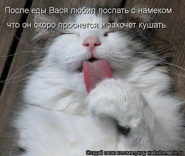 Котоматрица: После еды Вася любил поспать с намеком что он скоро проснется и захочет кушать.