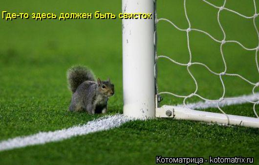 Котоматрица: Где-то здесь должен быть свисток