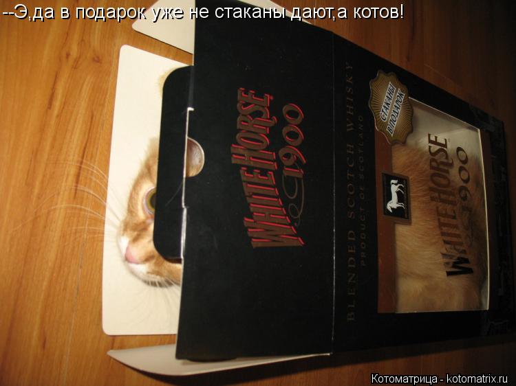 Котоматрица: --Э,да в подарок уже не стаканы дают,а котов!