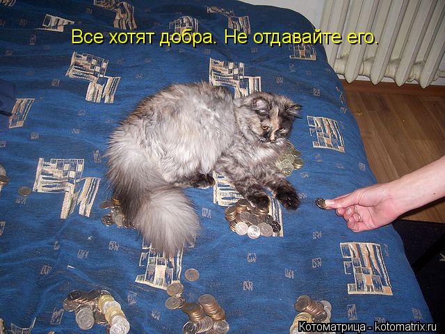 Котоматрица: Все хотят добра. Не отдавайте его.