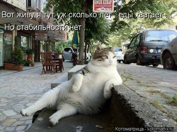 Котоматрица: Вот живу я тут уж сколько лет , еды хватает ... Но стабильности нет ...