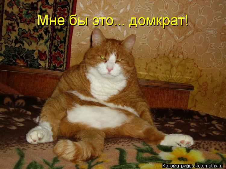 Котоматрица: Мне бы это... домкрат!