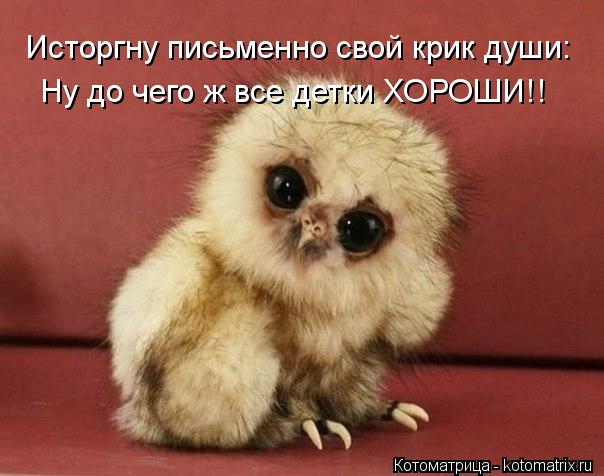 Котоматрица: Исторгну письменно свой крик души: Ну до чего ж все детки ХОРОШИ!!
