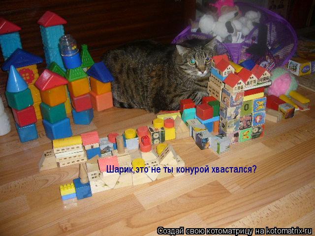 Котоматрица: Шарик,это не ты конурой хвастался?