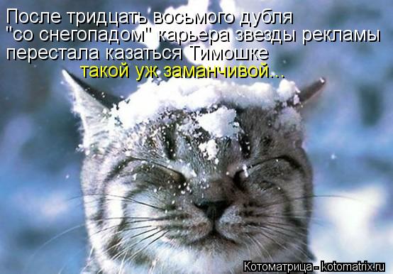 После тридцать восьмого дубля "со снегопадом" карьера звезды рекламы перестала казаться Тимошке такой... Котоматрица: После тридцать восьмого дубля "со снегопадом" карьера звезды рекламы перестала казаться Тимошке такой уж заманчивой...