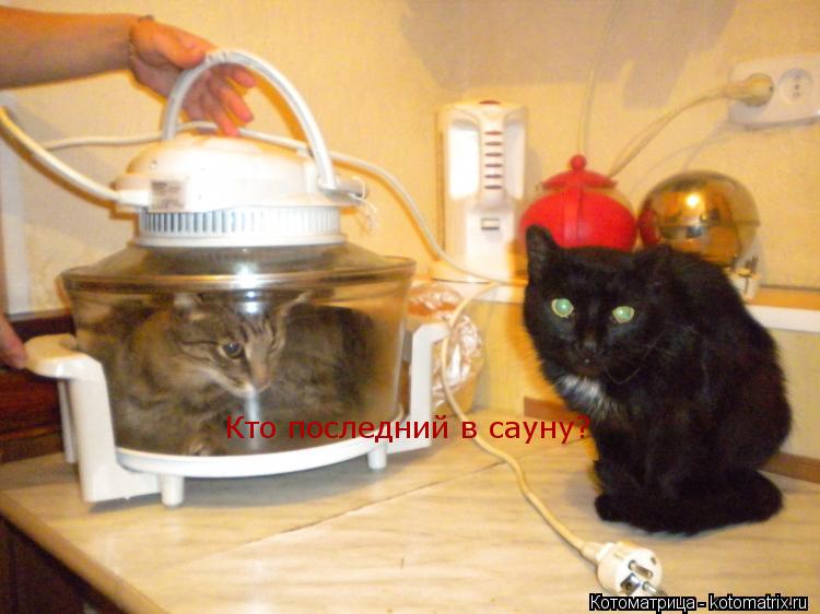 Котоматрица: Кто последний в сауну?