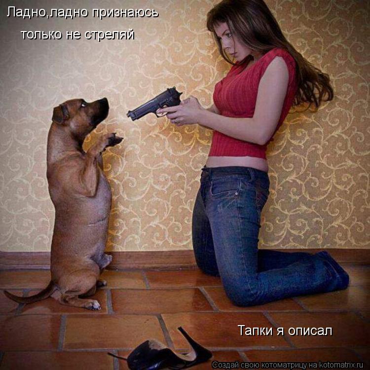 Ладно,ладно признаюсь только не стреляй Тапки я описал... Котоматрица: Ладно,ладно признаюсь только не стреляй Тапки я описал