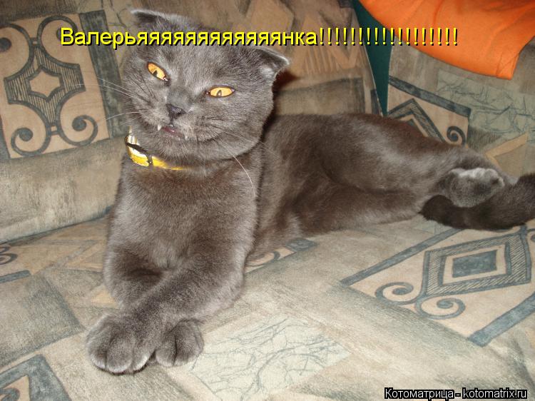 Котоматрица: Валерьяяяяяяяяяяяянка!!!!!!!!!!!!!!!!!!