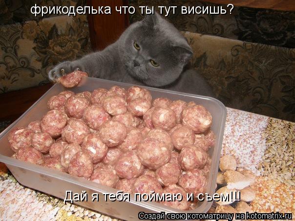 Котоматрица: фрикоделька что ты тут висишь?  Дай я тебя поймаю и съем!!!