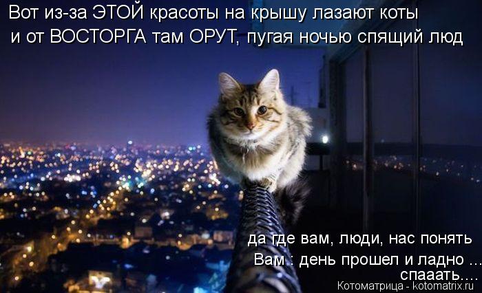 Котоматрица: и от ВОСТОРГА там ОРУТ, пугая ночью спящий люд Вот из-за ЭТОЙ красоты на крышу лазают коты  да где вам, люди, нас понять  Вам : день прошел и лад